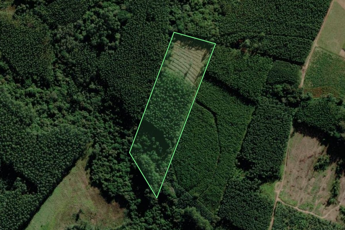 Imagem de satélite do imóvel rural em Triunfo (RS), com o contorno declarado no CAR desenhado por cima.