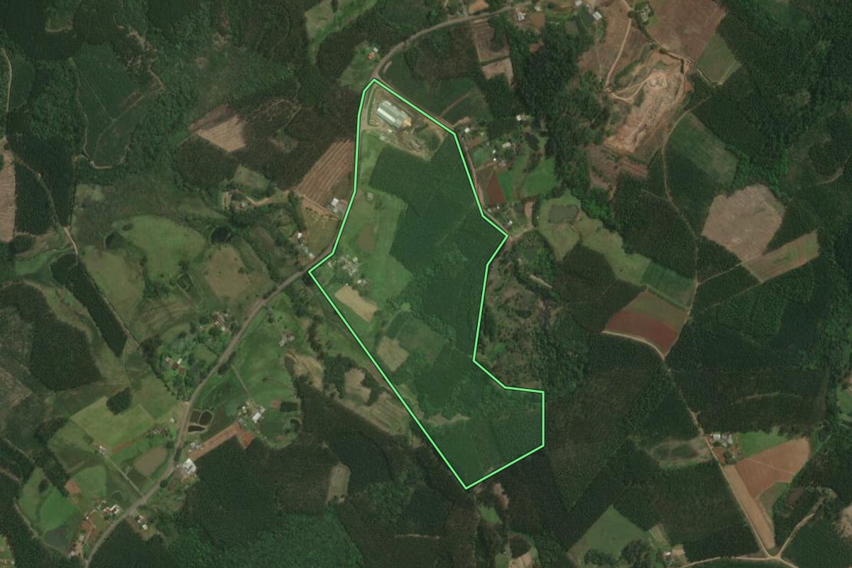 Imagem de satélite do imóvel rural em Triunfo (RS), com o contorno declarado no CAR desenhado por cima.