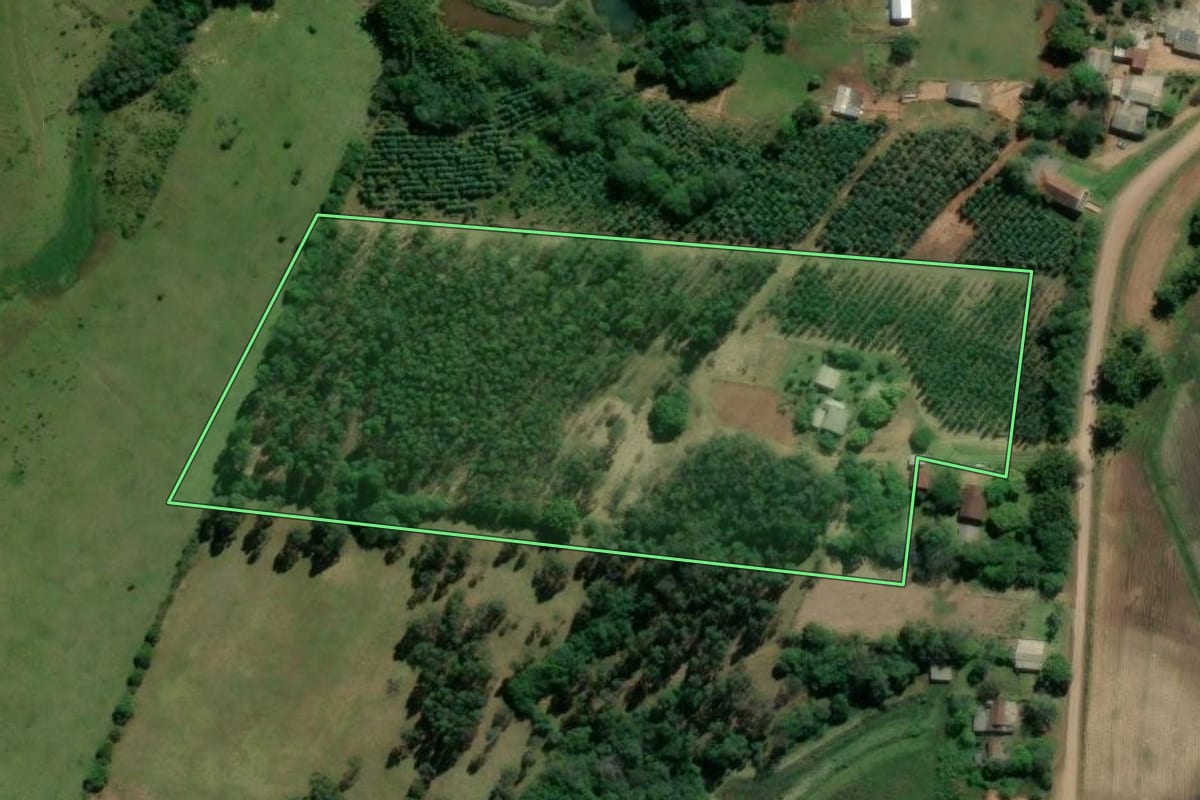 Imagem de satélite do imóvel rural em Triunfo (RS), com o contorno declarado no CAR desenhado por cima.