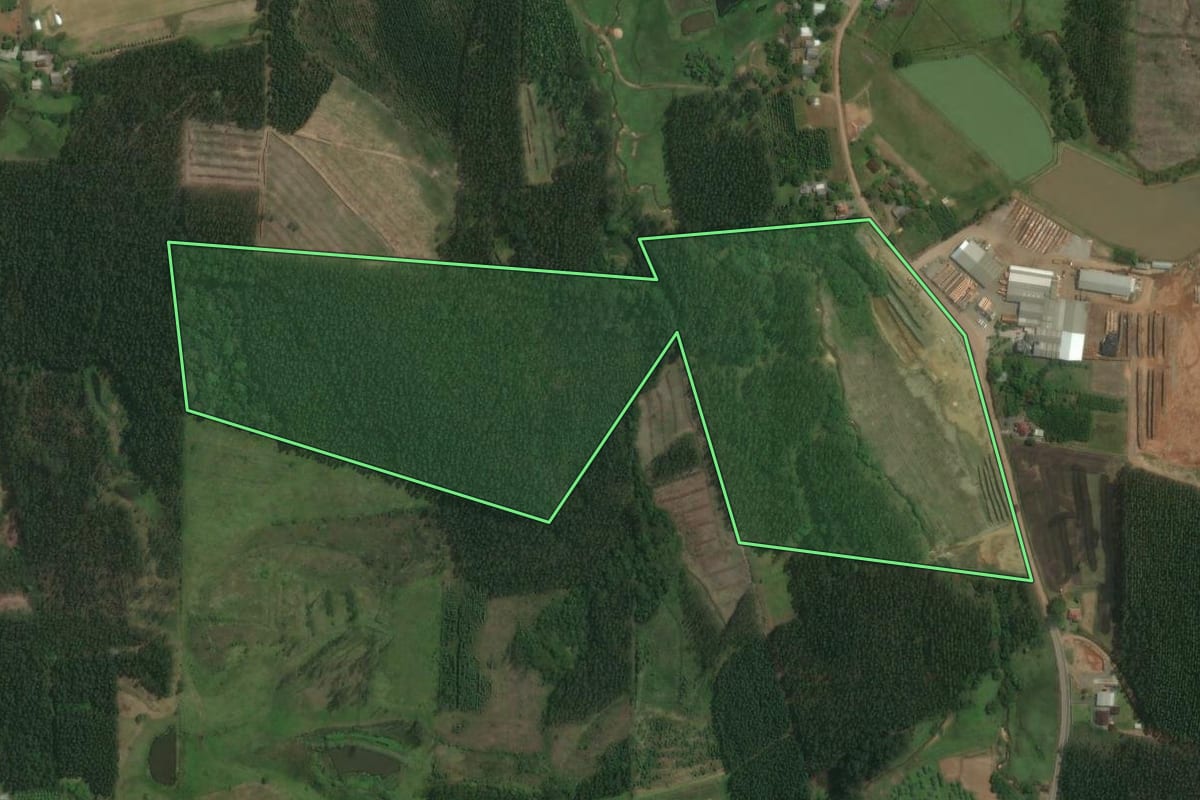 Imagem de satélite do imóvel rural em Triunfo (RS), com o contorno declarado no CAR desenhado por cima.