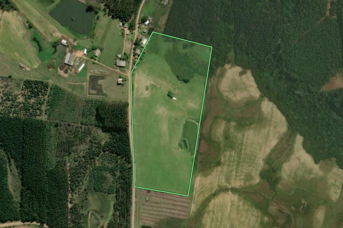 Imagem de satélite do imóvel rural em Triunfo (RS), com o contorno declarado no CAR desenhado por cima.