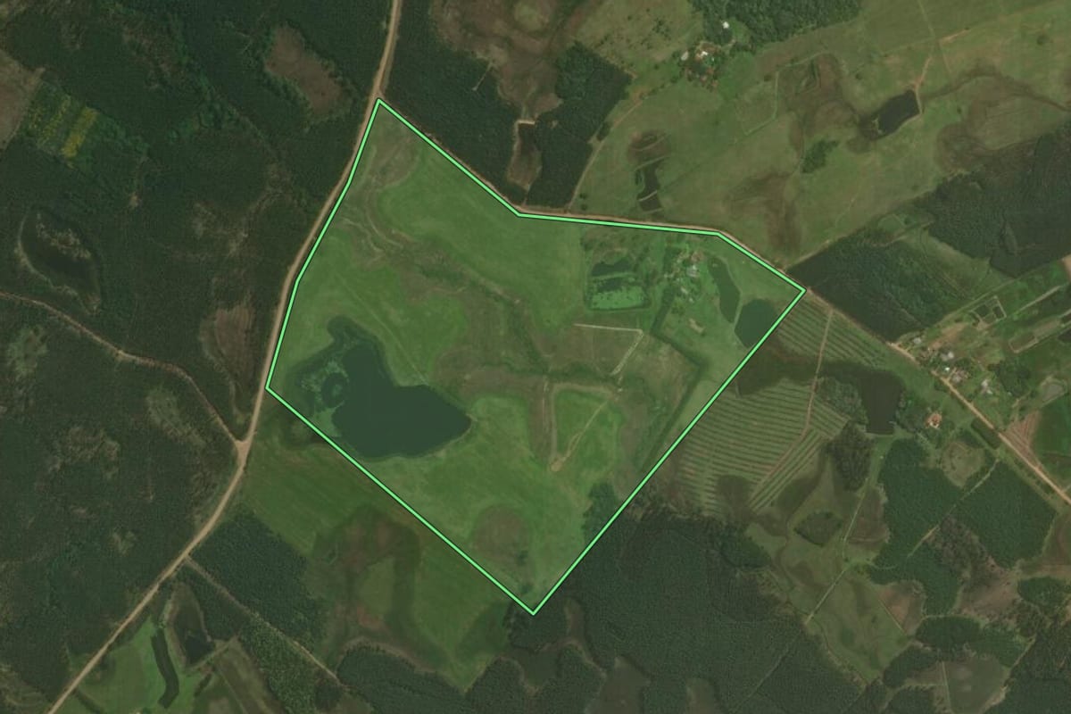 Imagem de satélite do imóvel rural em Triunfo (RS), com o contorno declarado no CAR desenhado por cima.