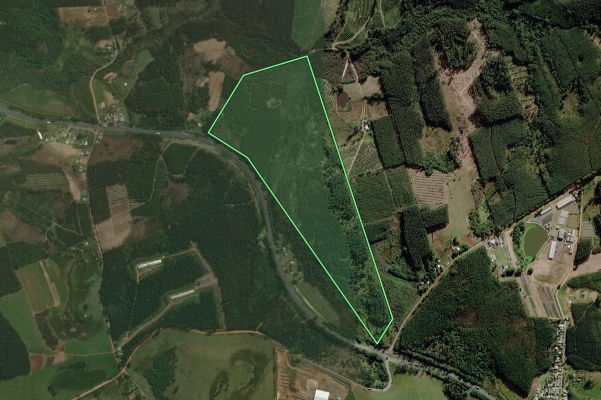 Imagem de satélite do imóvel rural em Triunfo (RS), com o contorno declarado no CAR desenhado por cima.