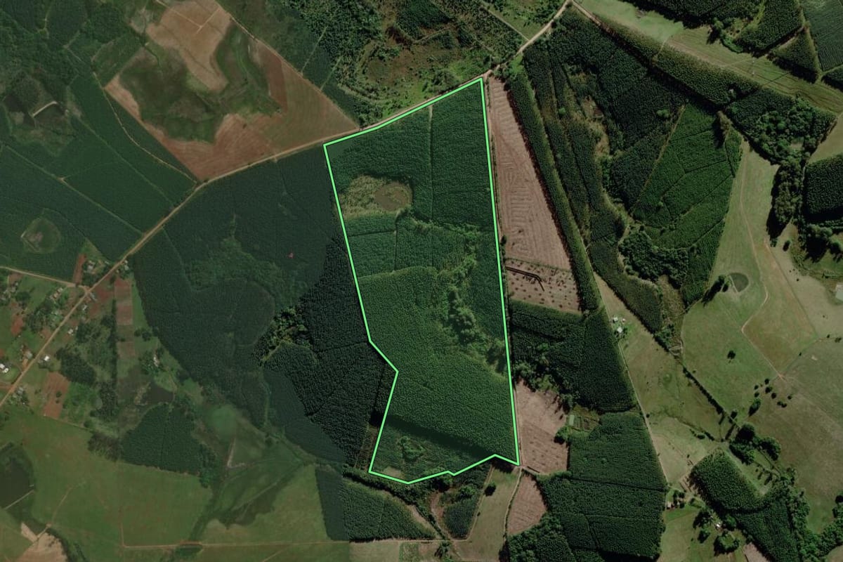 Imagem de satélite do imóvel rural em Triunfo (RS), com o contorno declarado no CAR desenhado por cima.