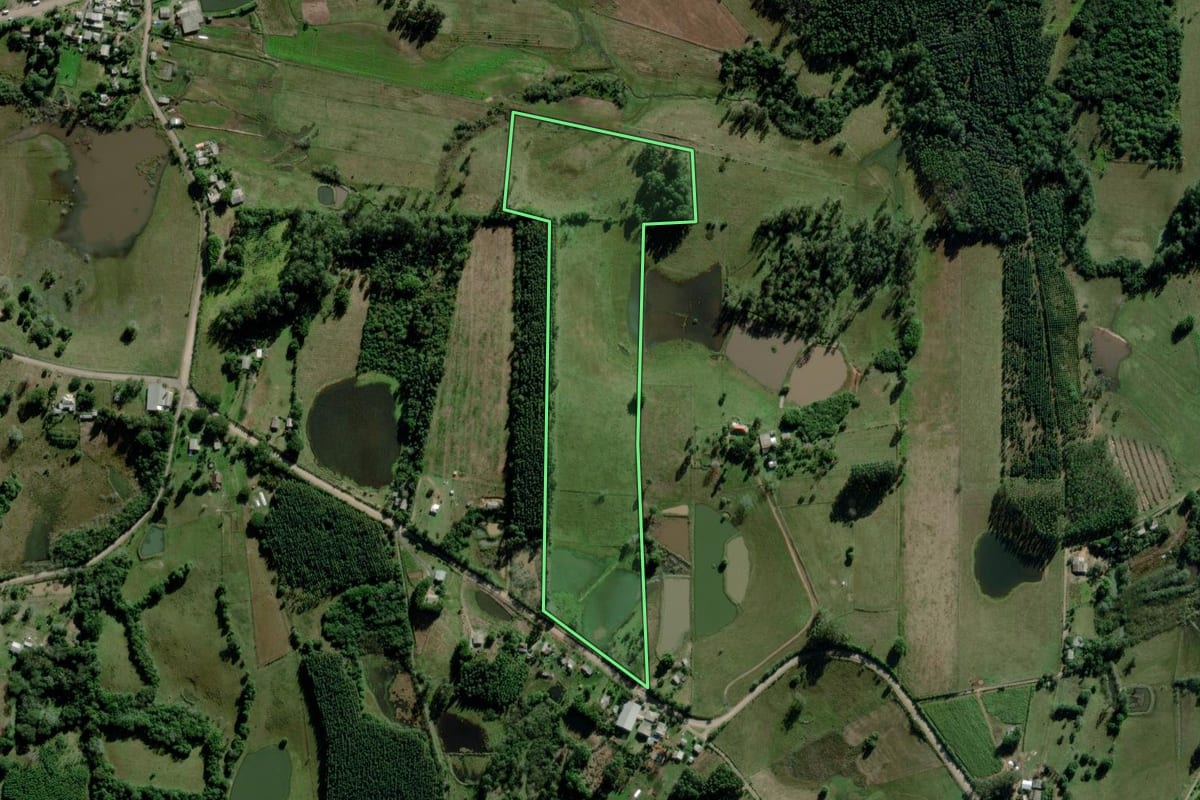 Imagem de satélite do imóvel rural em Triunfo (RS), com o contorno declarado no CAR desenhado por cima.
