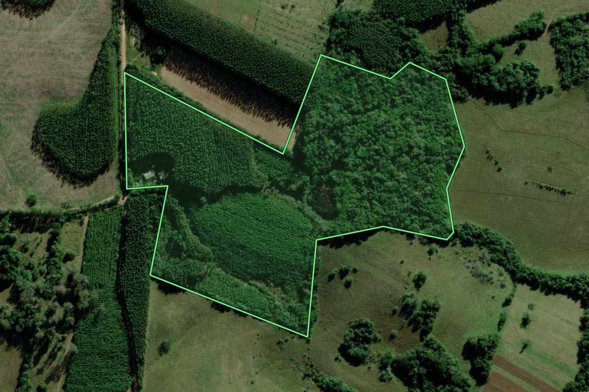 Imagem de satélite do imóvel rural em Triunfo (RS), com o contorno declarado no CAR desenhado por cima.