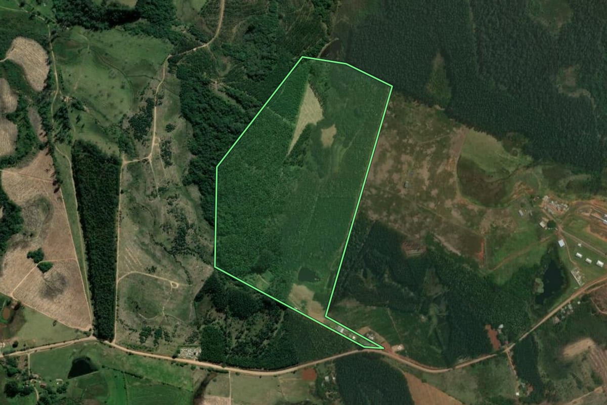 Imagem de satélite do imóvel rural em Triunfo (RS), com o contorno declarado no CAR desenhado por cima.