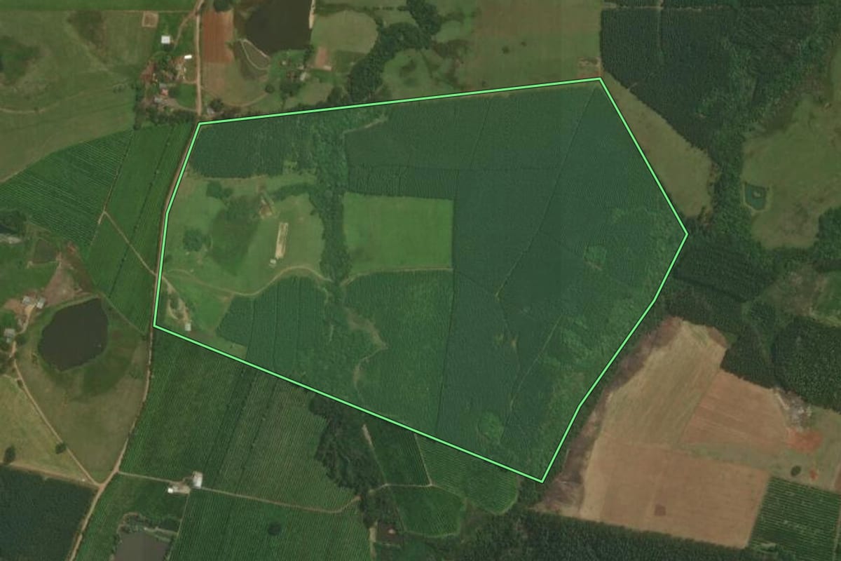 Imagem de satélite do imóvel rural em Triunfo (RS), com o contorno declarado no CAR desenhado por cima.