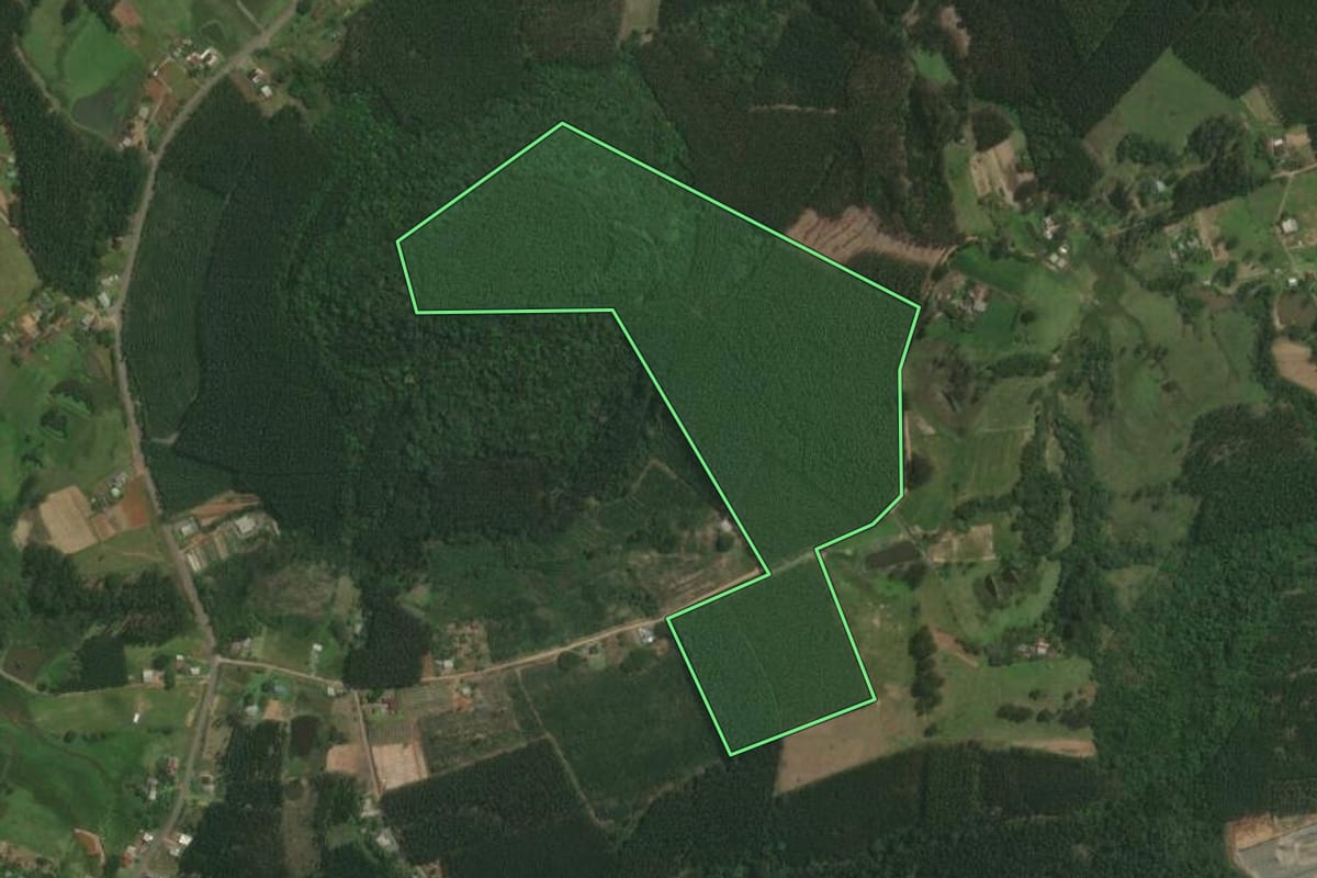 Imagem de satélite do imóvel rural em Triunfo (RS), com o contorno declarado no CAR desenhado por cima.