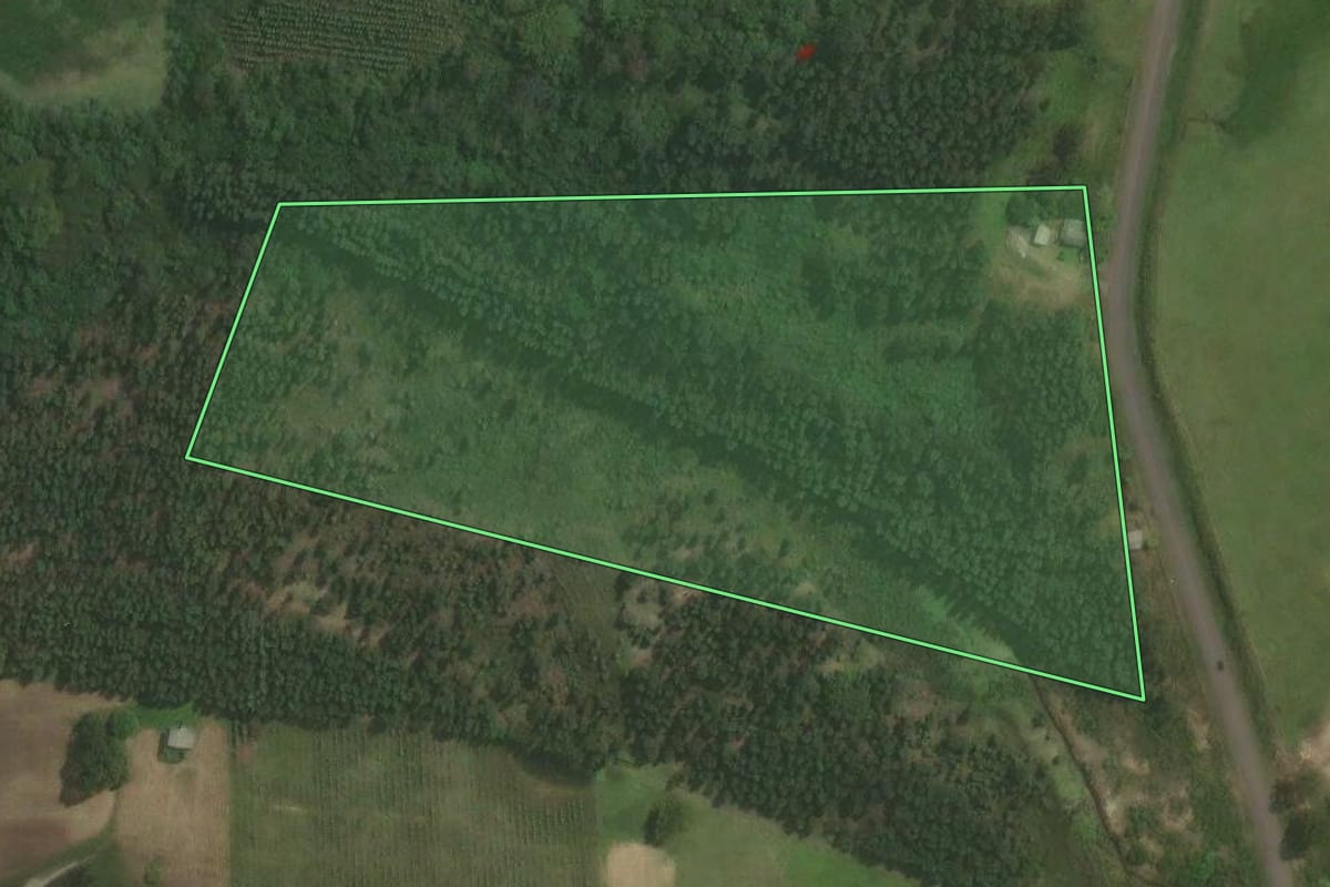 Imagem de satélite do imóvel rural em Triunfo (RS), com o contorno declarado no CAR desenhado por cima.