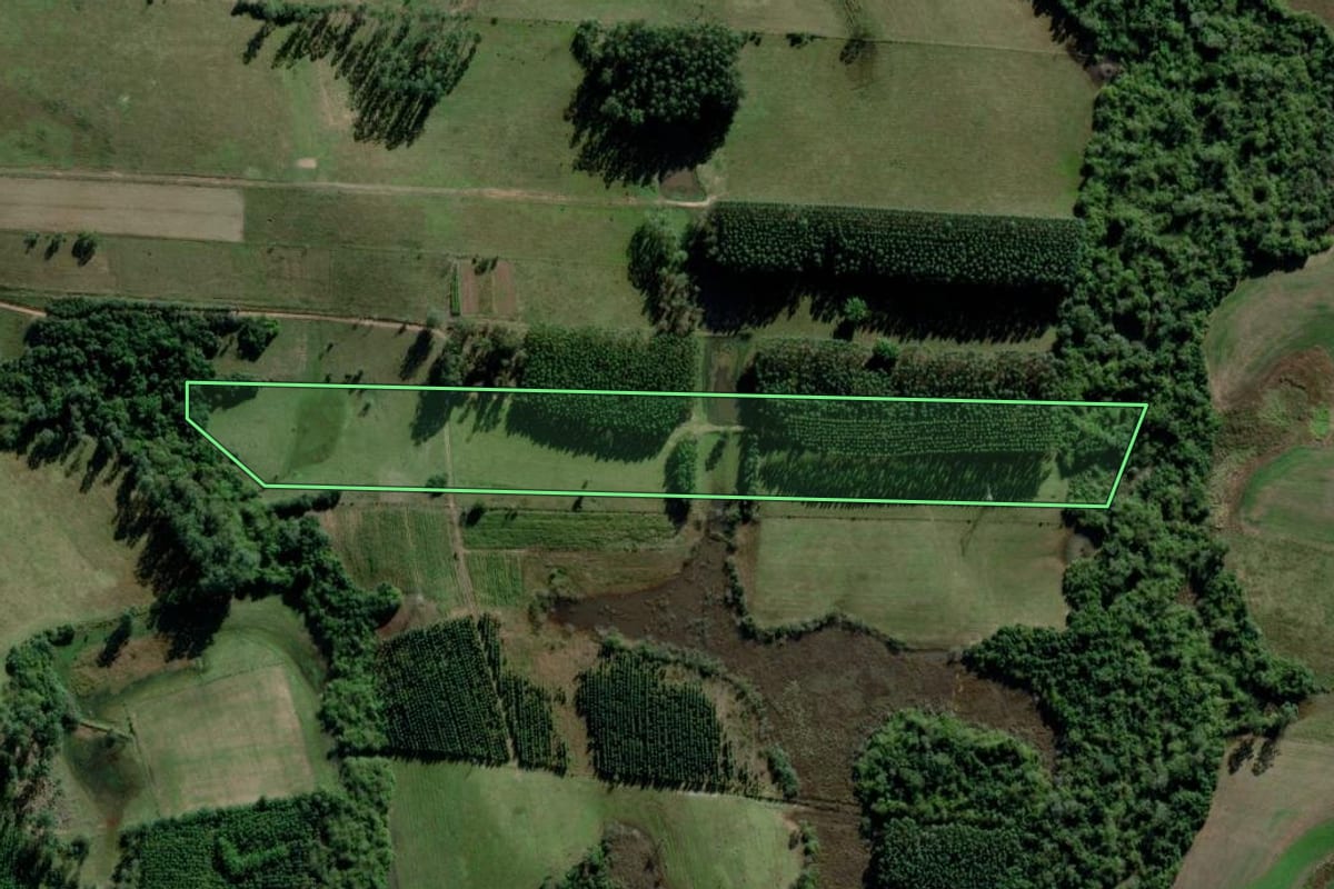 Imagem de satélite do imóvel rural em Triunfo (RS), com o contorno declarado no CAR desenhado por cima.