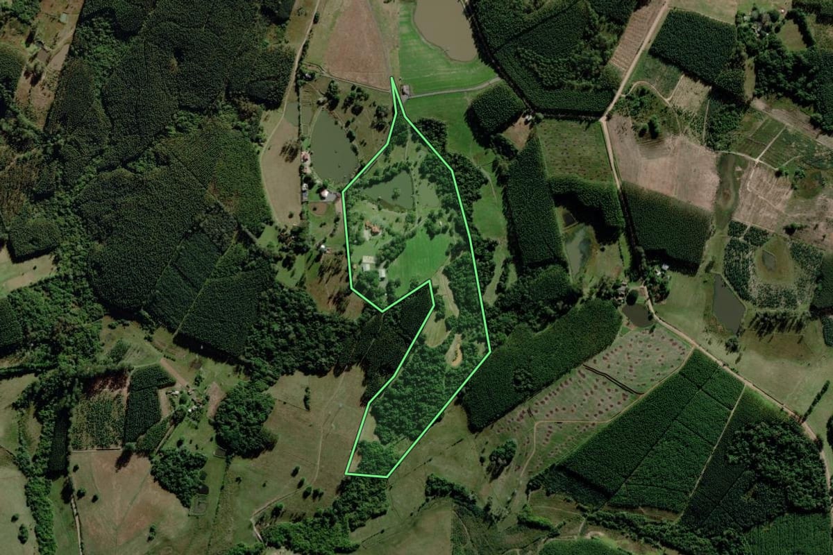 Imagem de satélite do imóvel rural em Triunfo (RS), com o contorno declarado no CAR desenhado por cima.