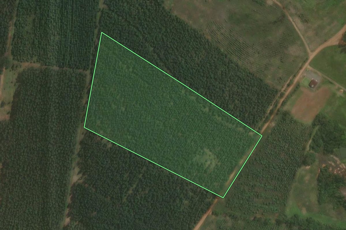 Imagem de satélite do imóvel rural em Triunfo (RS), com o contorno declarado no CAR desenhado por cima.