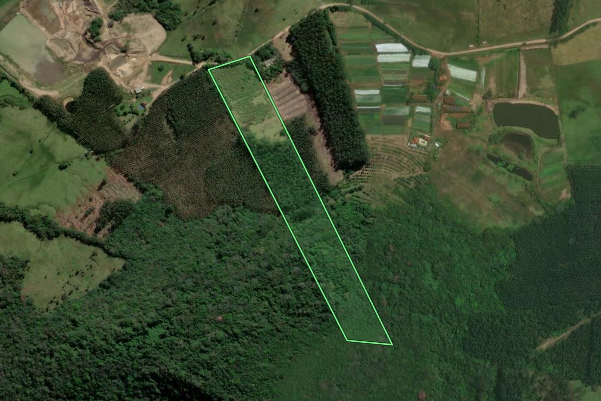 Imagem de satélite do imóvel rural em Triunfo (RS), com o contorno declarado no CAR desenhado por cima.