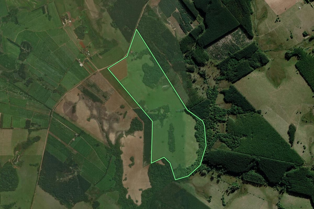 Imagem de satélite do imóvel rural em Triunfo (RS), com o contorno declarado no CAR desenhado por cima.
