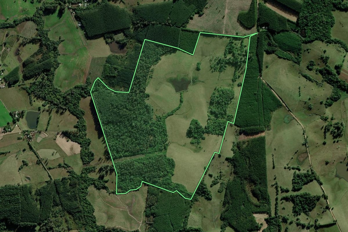 Imagem de satélite do imóvel rural em Triunfo (RS), com o contorno declarado no CAR desenhado por cima.