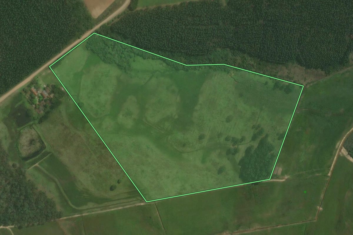 Imagem de satélite do imóvel rural em Triunfo (RS), com o contorno declarado no CAR desenhado por cima.