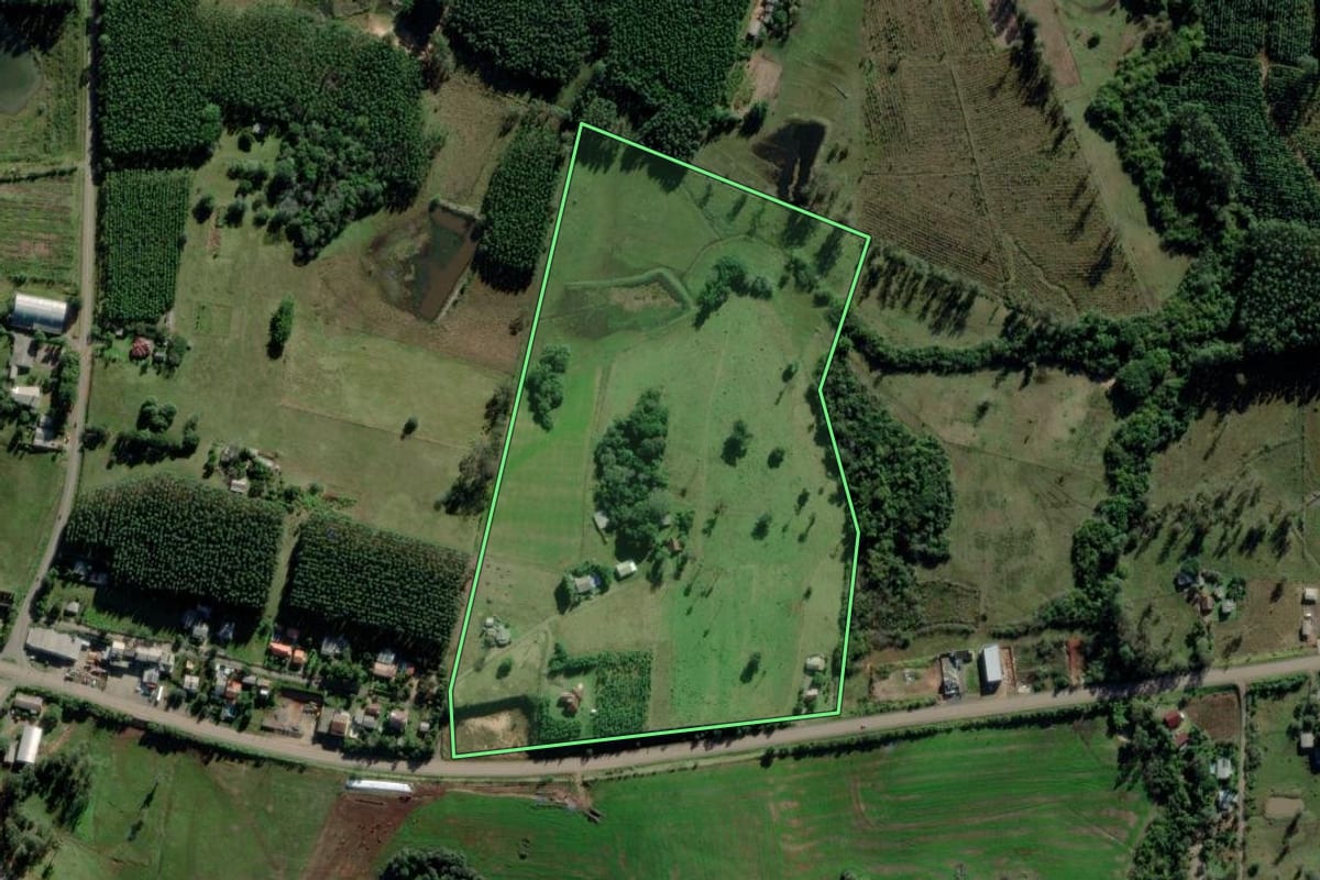 Imagem de satélite do imóvel rural em Triunfo (RS), com o contorno declarado no CAR desenhado por cima.