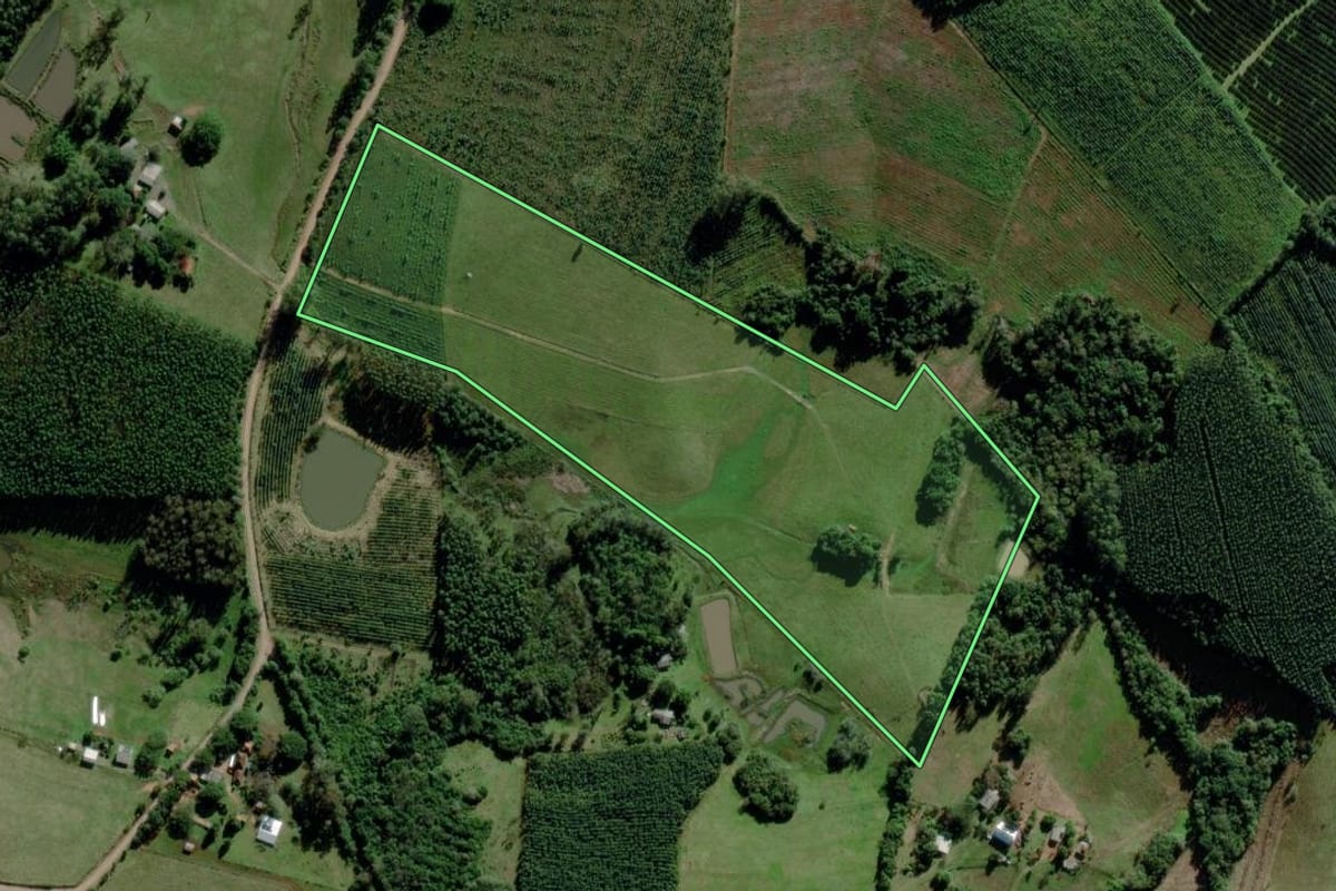 Imagem de satélite do imóvel rural em Triunfo (RS), com o contorno declarado no CAR desenhado por cima.