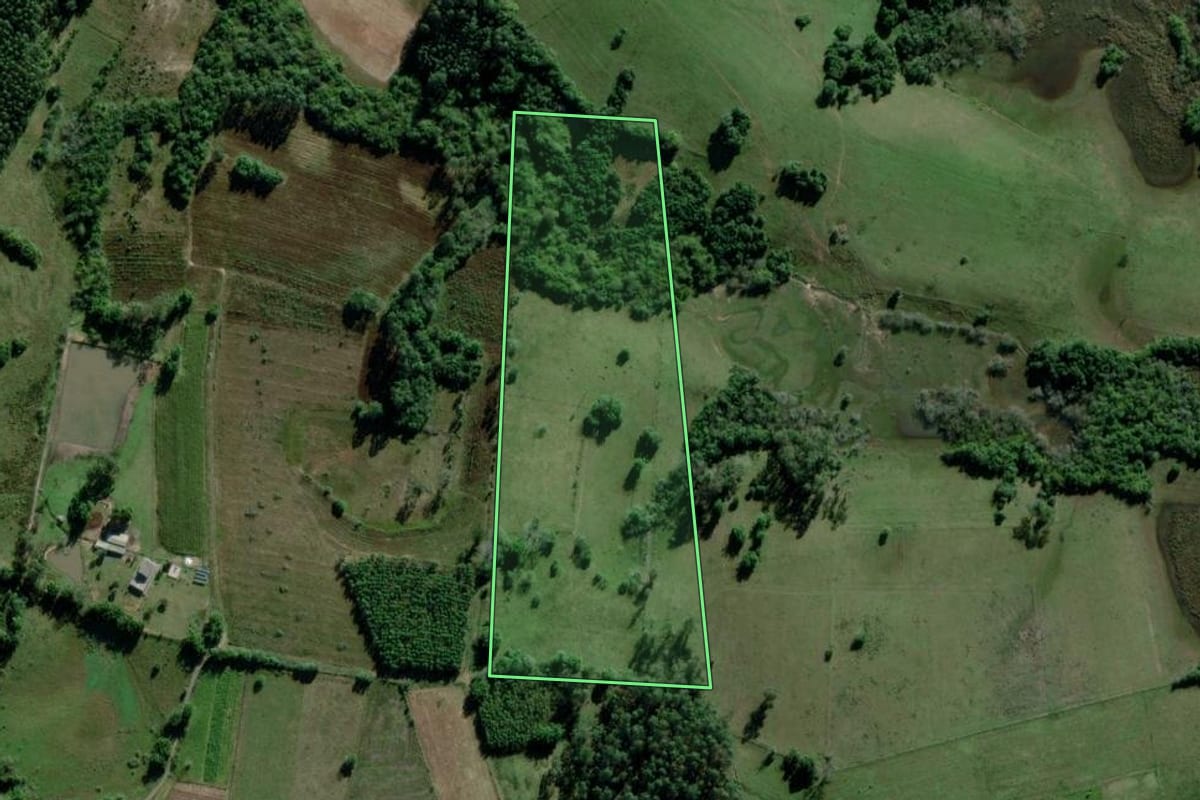 Imagem de satélite do imóvel rural em Triunfo (RS), com o contorno declarado no CAR desenhado por cima.