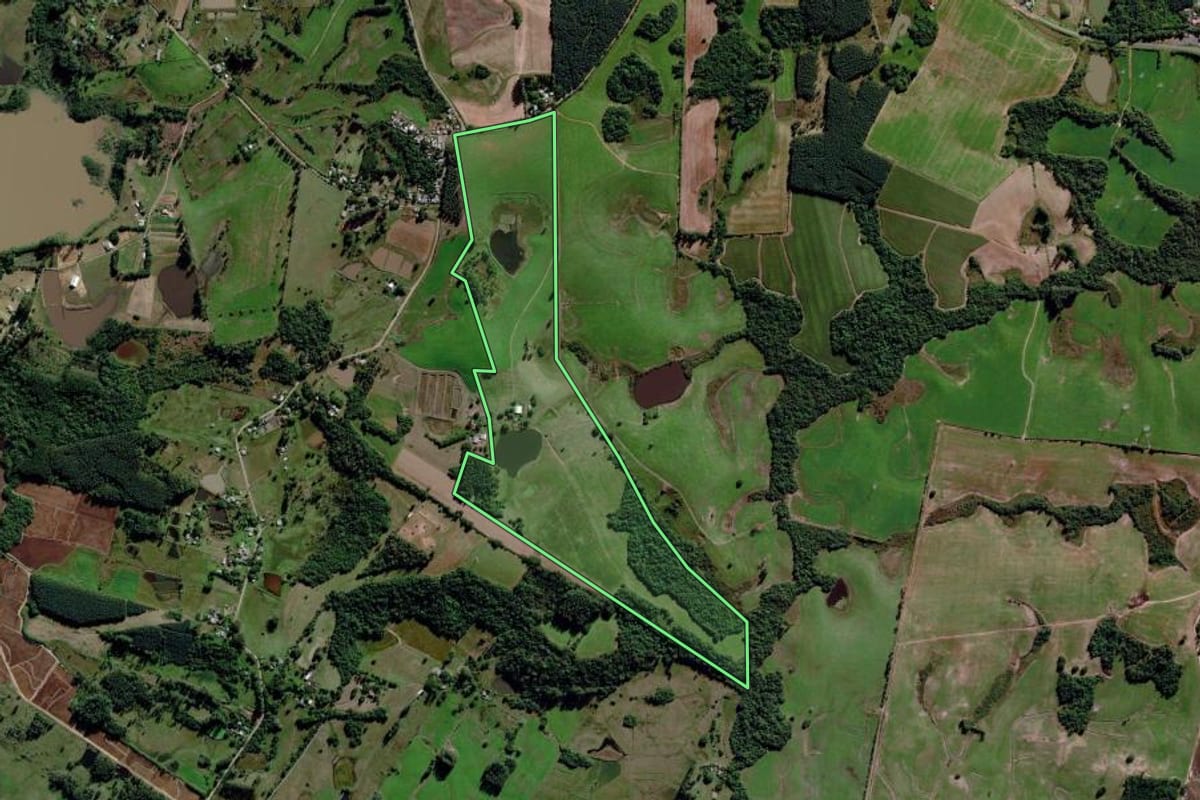 Imagem de satélite do imóvel rural em Triunfo (RS), com o contorno declarado no CAR desenhado por cima.