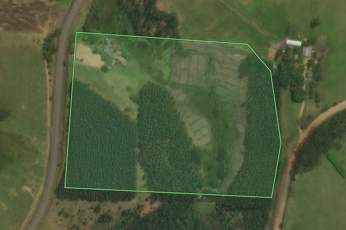 Imagem de satélite do imóvel rural em Triunfo (RS), com o contorno declarado no CAR desenhado por cima.