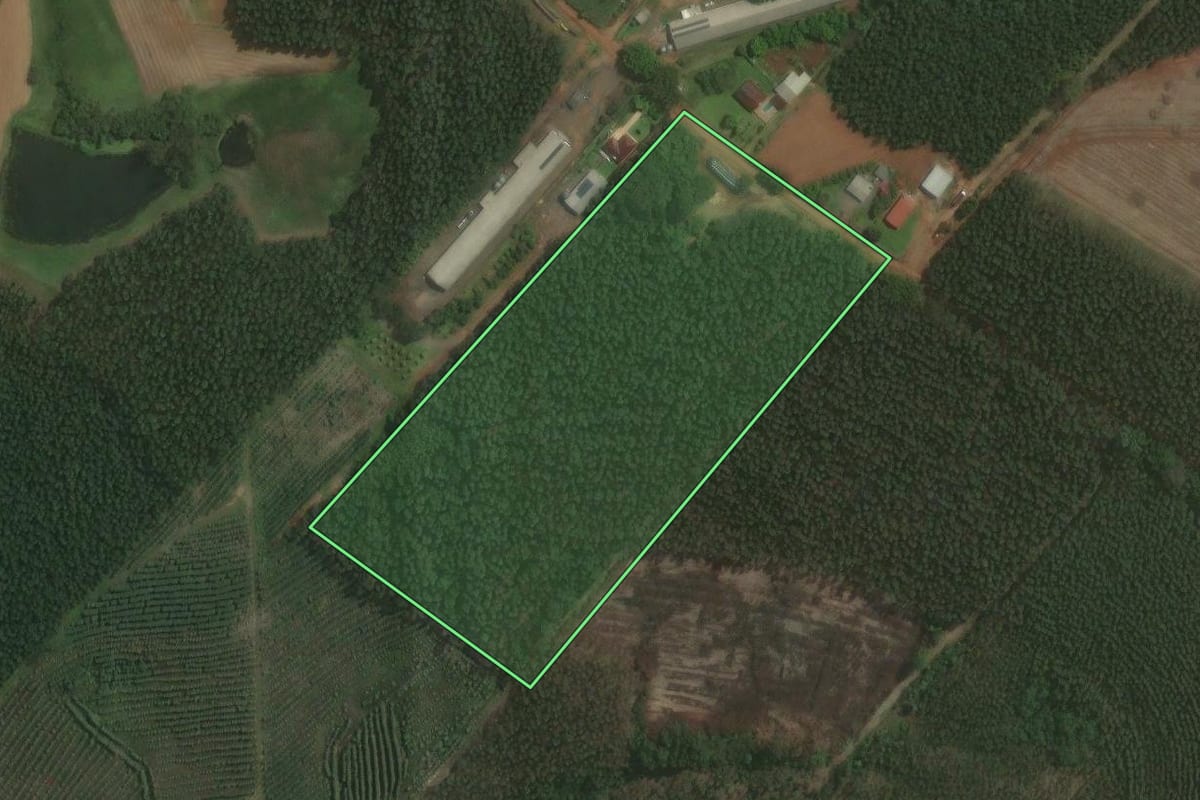 Imagem de satélite do imóvel rural em Triunfo (RS), com o contorno declarado no CAR desenhado por cima.