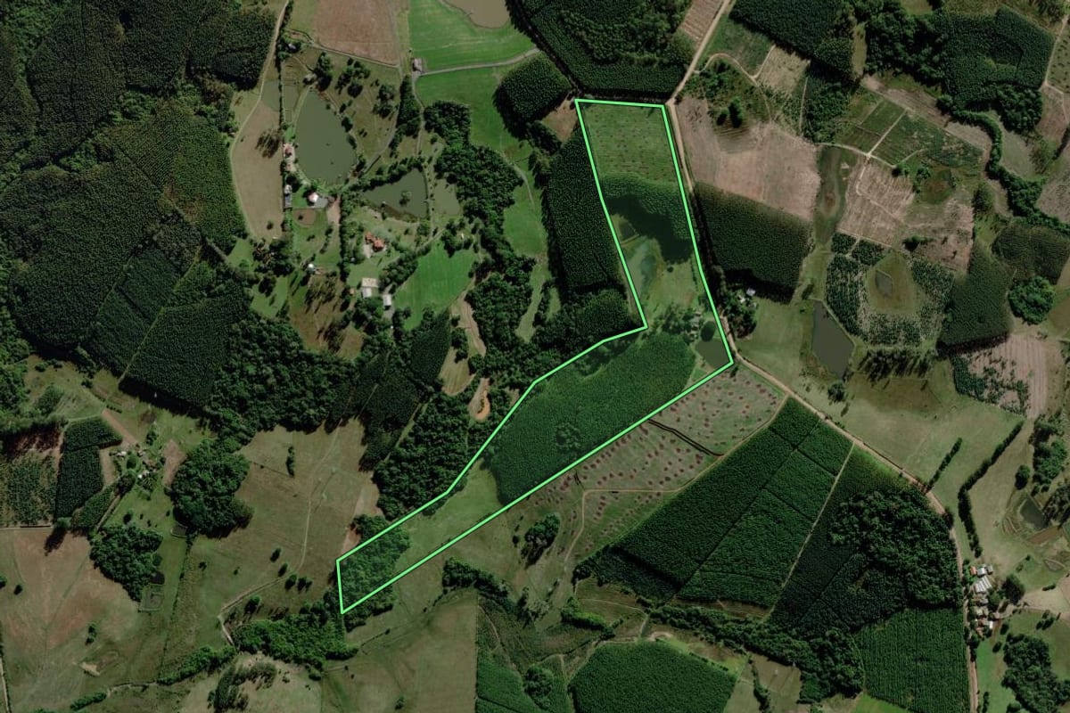 Imagem de satélite do imóvel rural em Triunfo (RS), com o contorno declarado no CAR desenhado por cima.