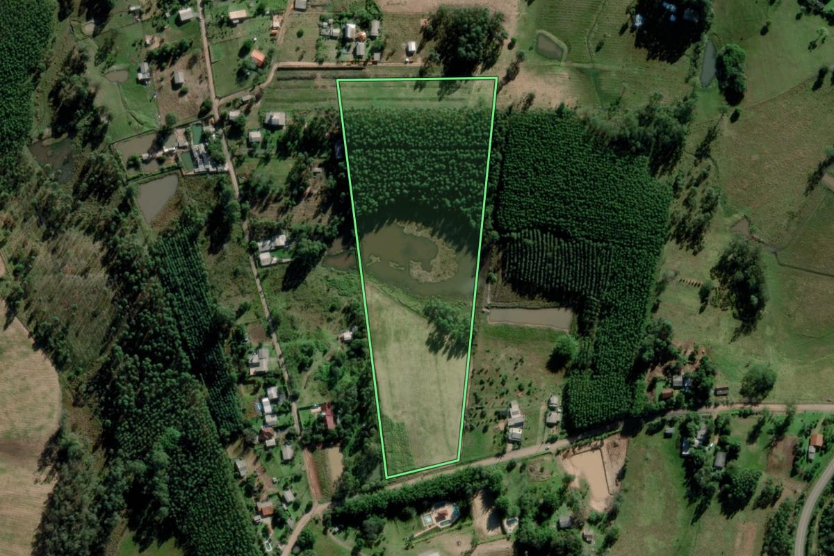 Imagem de satélite do imóvel rural em Triunfo (RS), com o contorno declarado no CAR desenhado por cima.