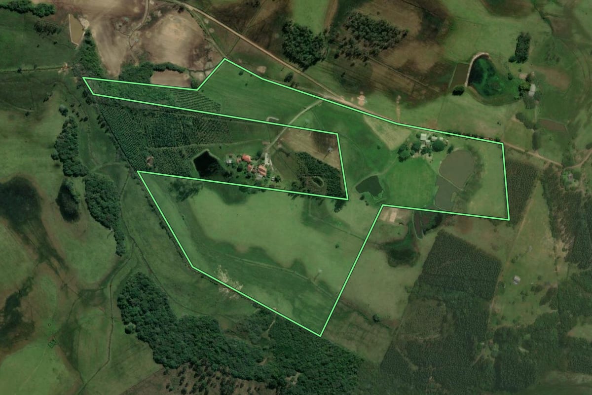 Imagem de satélite do imóvel rural em Triunfo (RS), com o contorno declarado no CAR desenhado por cima.