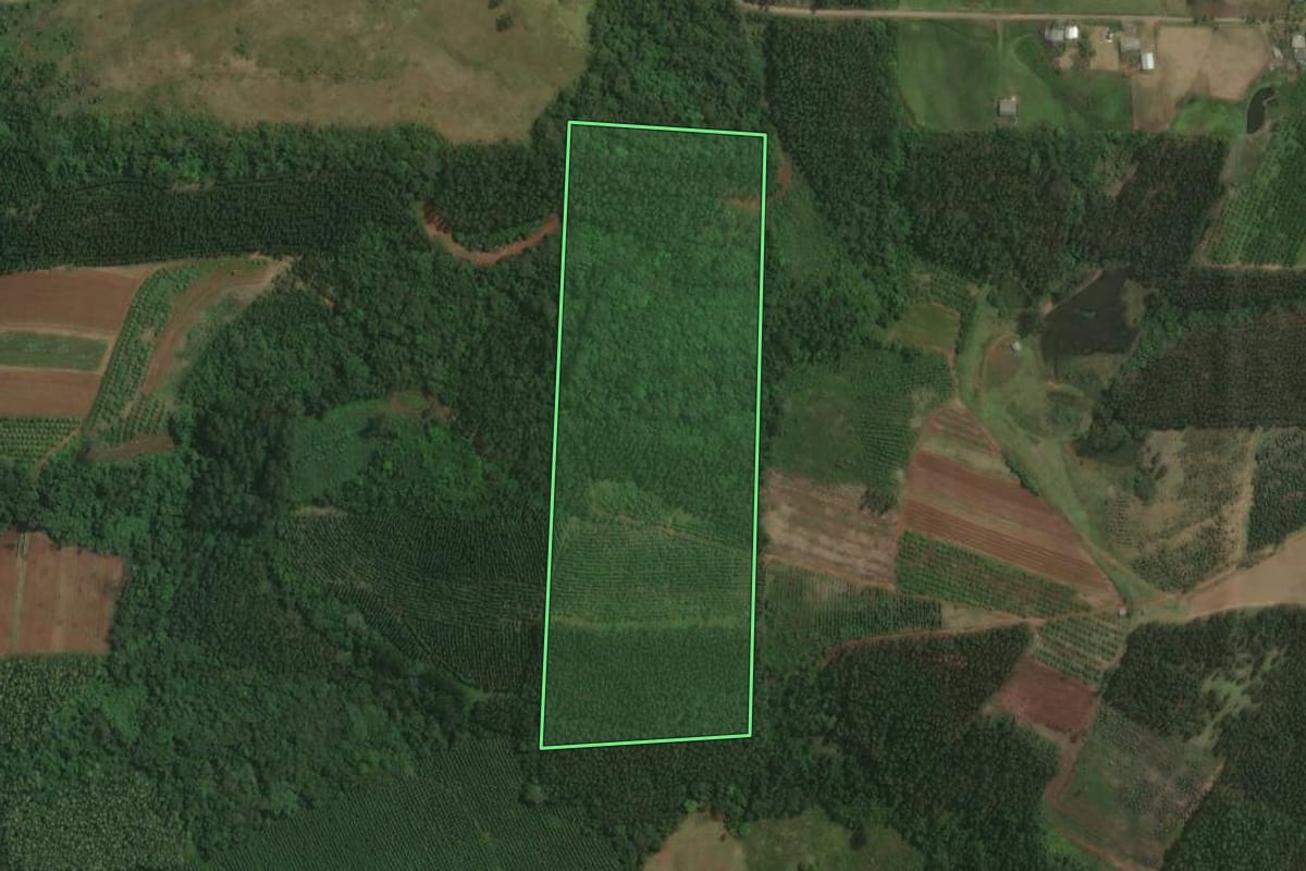Imagem de satélite do imóvel rural em Triunfo (RS), com o contorno declarado no CAR desenhado por cima.