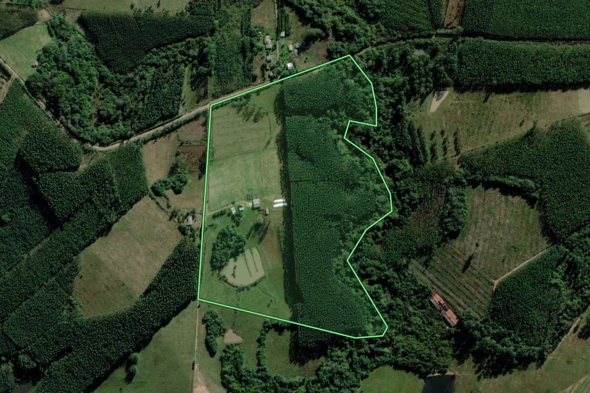 Imagem de satélite do imóvel rural em Triunfo (RS), com o contorno declarado no CAR desenhado por cima.