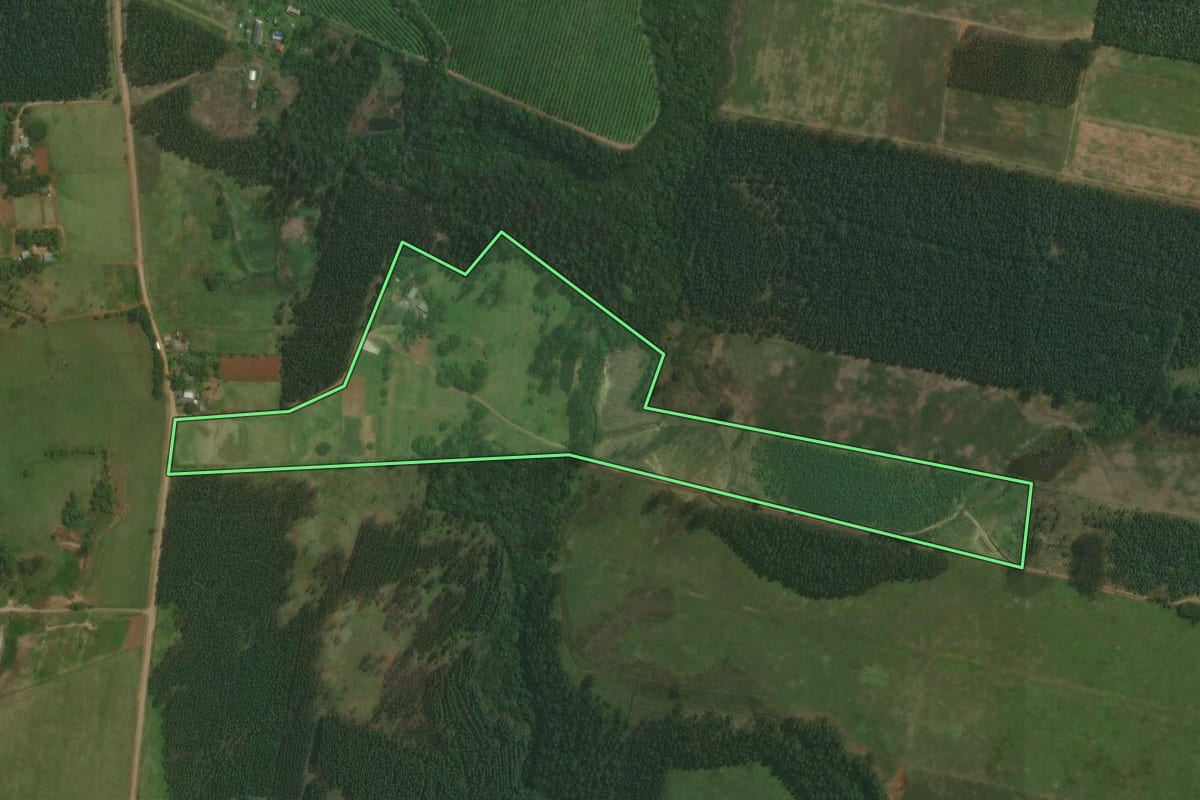 Imagem de satélite do imóvel rural em Triunfo (RS), com o contorno declarado no CAR desenhado por cima.