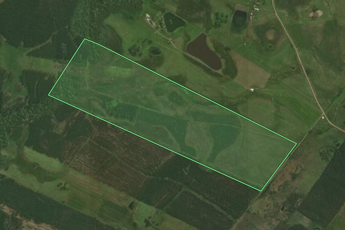 Imagem de satélite do imóvel rural em Triunfo (RS), com o contorno declarado no CAR desenhado por cima.