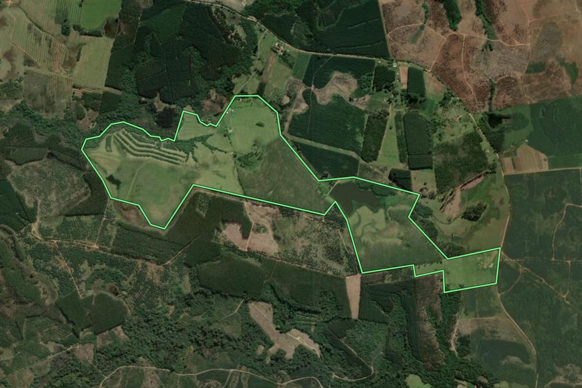 Imagem de satélite do imóvel rural em Triunfo (RS), com o contorno declarado no CAR desenhado por cima.