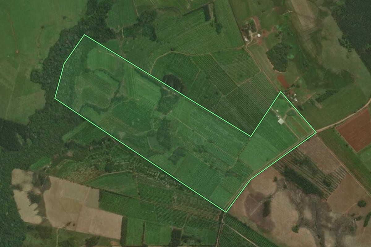 Imagem de satélite do imóvel rural em Triunfo (RS), com o contorno declarado no CAR desenhado por cima.