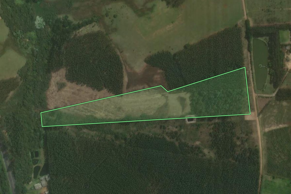 Imagem de satélite do imóvel rural em Triunfo (RS), com o contorno declarado no CAR desenhado por cima.