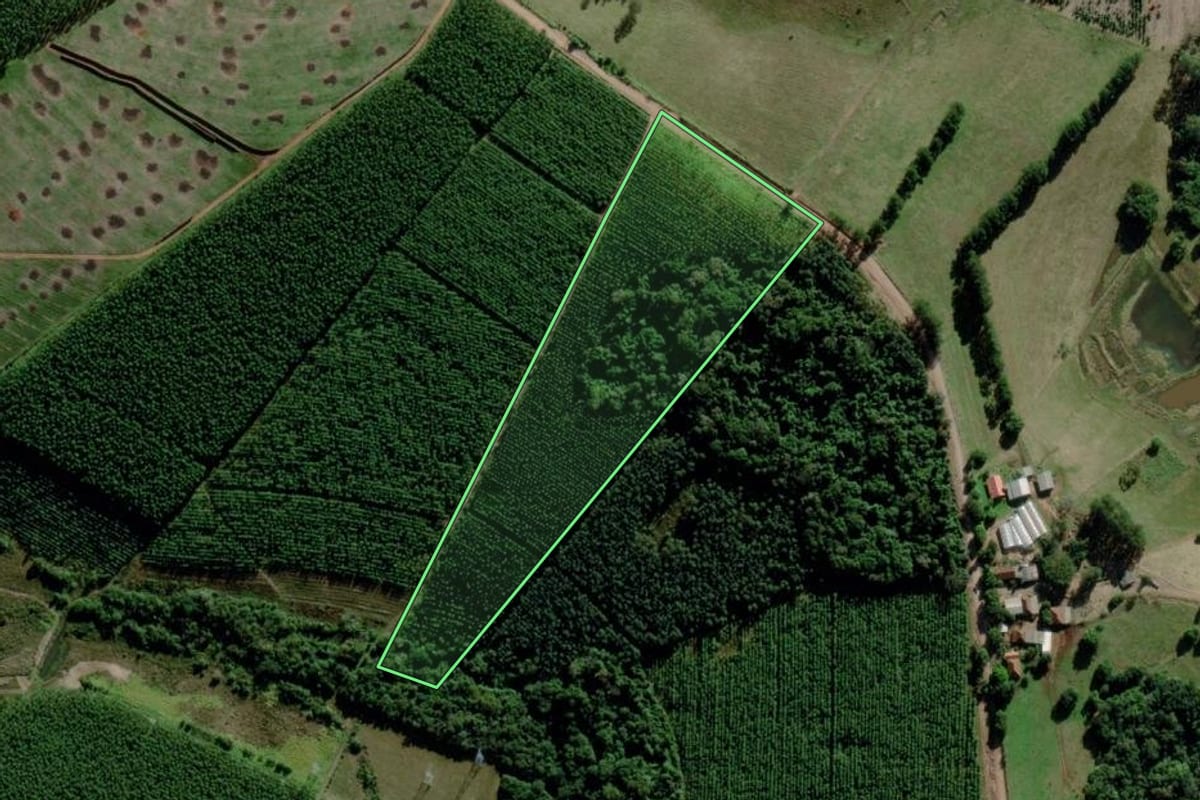 Imagem de satélite do imóvel rural em Triunfo (RS), com o contorno declarado no CAR desenhado por cima.