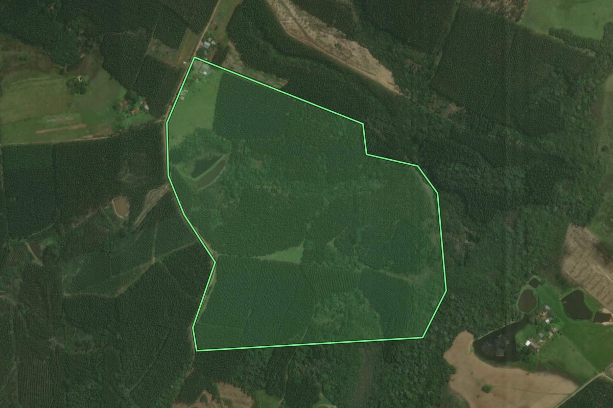 Imagem de satélite do imóvel rural em Triunfo (RS), com o contorno declarado no CAR desenhado por cima.