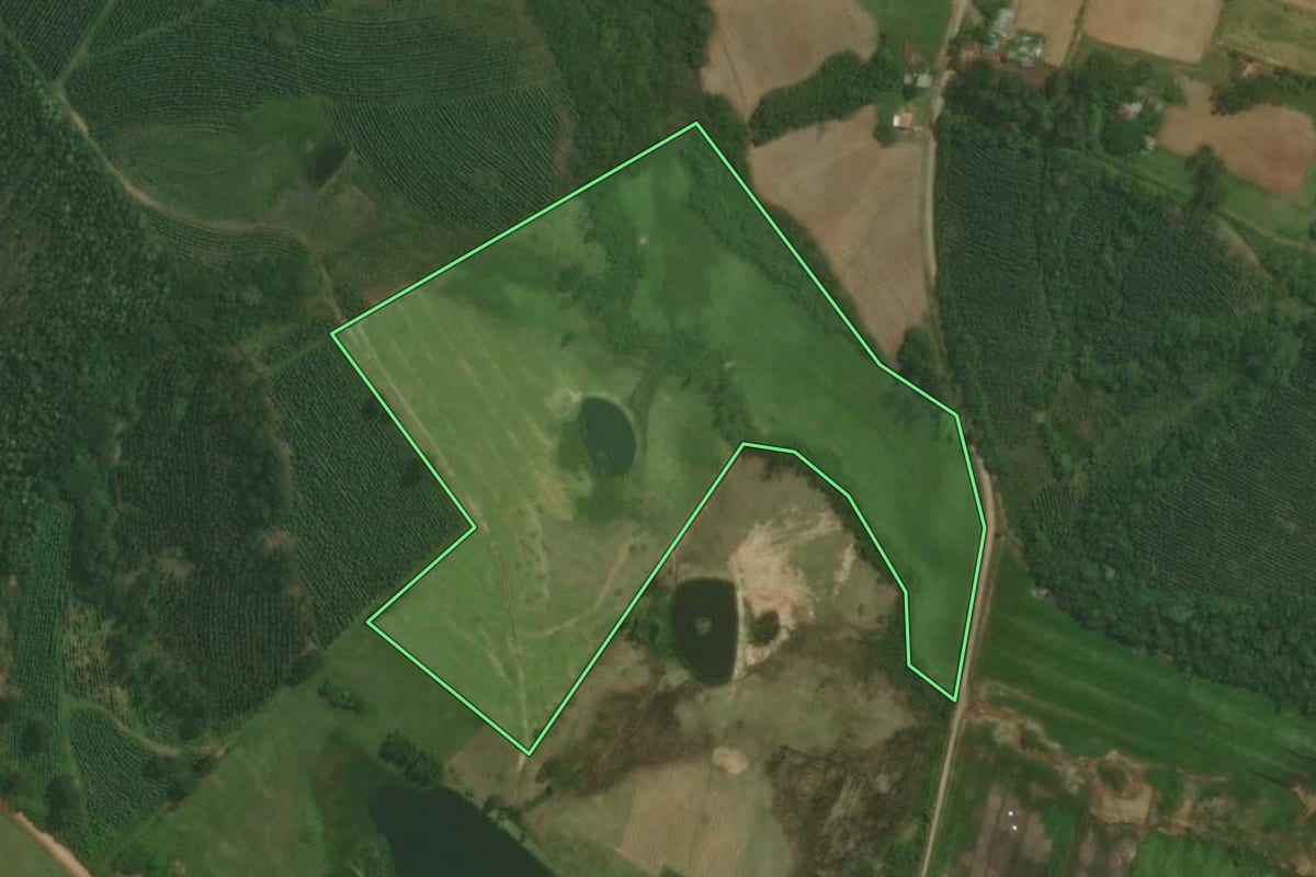 Imagem de satélite do imóvel rural em Triunfo (RS), com o contorno declarado no CAR desenhado por cima.
