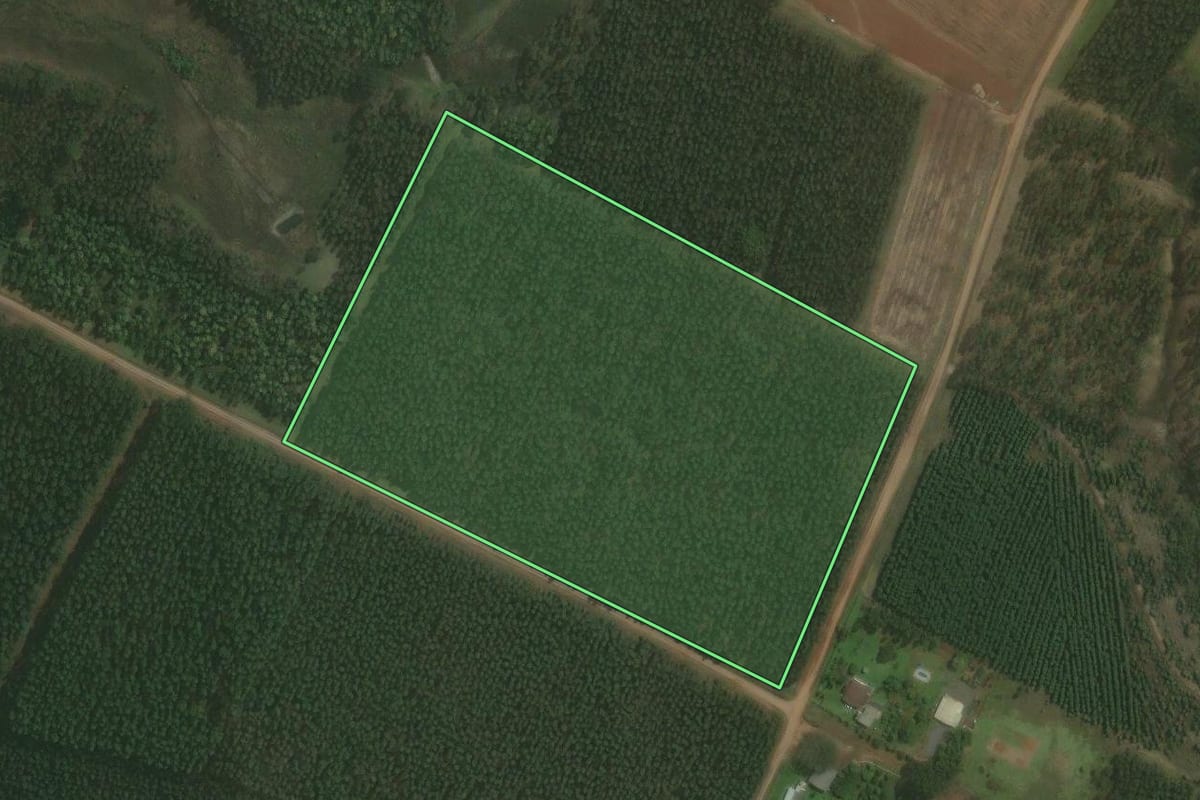 Imagem de satélite do imóvel rural em Triunfo (RS), com o contorno declarado no CAR desenhado por cima.