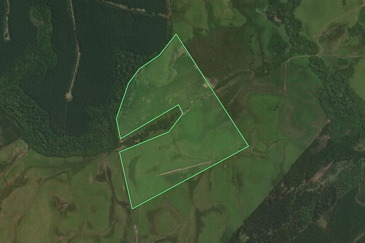 Imagem de satélite do imóvel rural em Triunfo (RS), com o contorno declarado no CAR desenhado por cima.