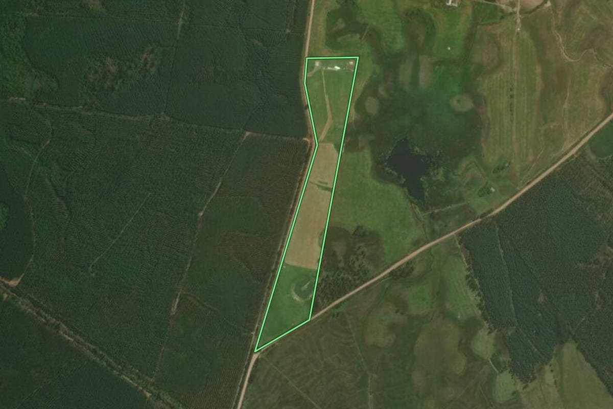 Imagem de satélite do imóvel rural em Triunfo (RS), com o contorno declarado no CAR desenhado por cima.