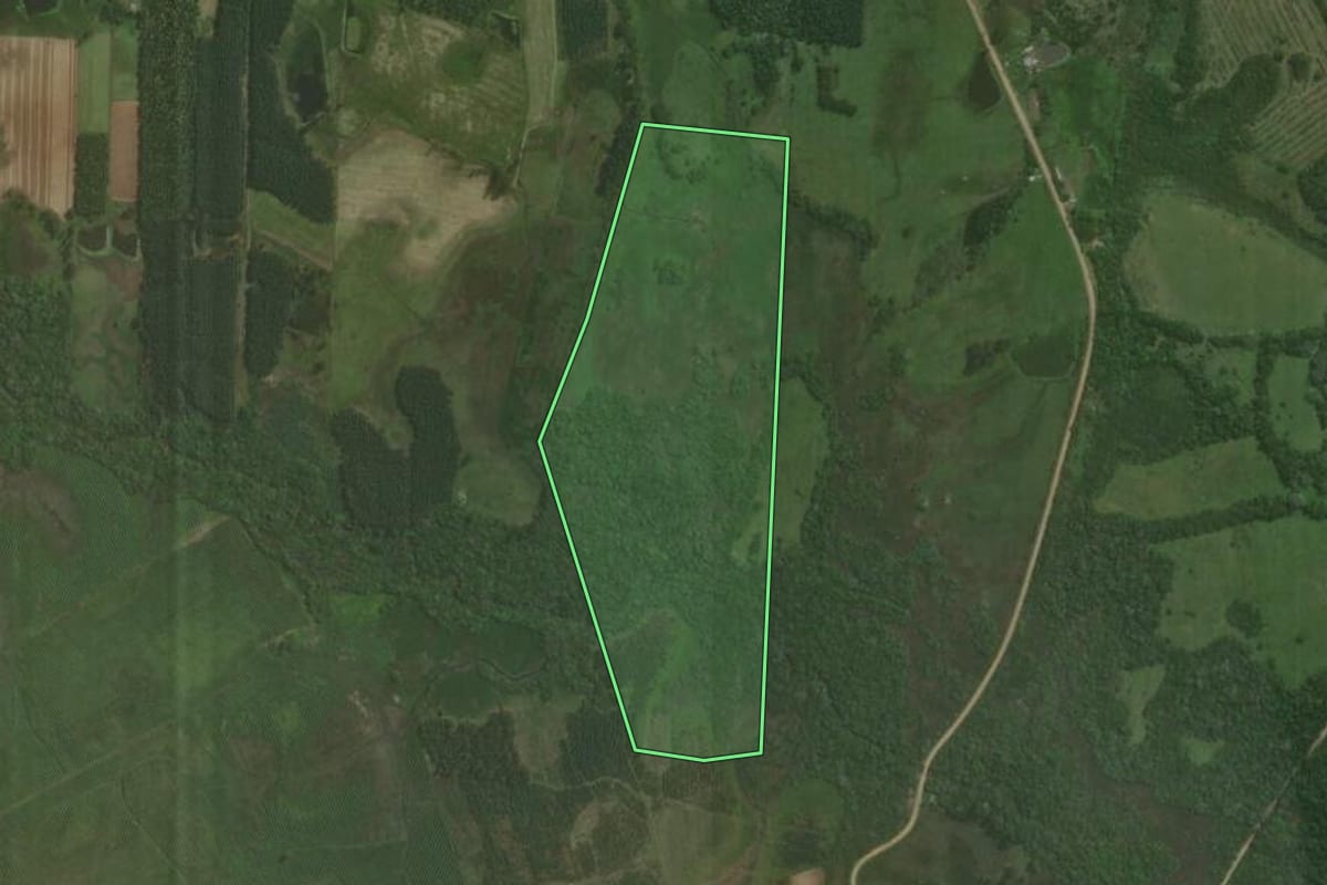 Imagem de satélite do imóvel rural em Triunfo (RS), com o contorno declarado no CAR desenhado por cima.