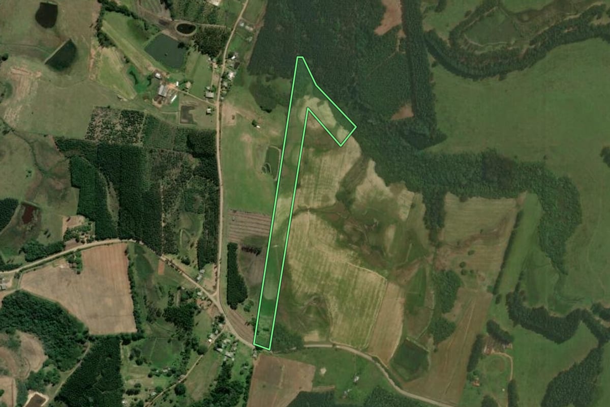 Imagem de satélite do imóvel rural em Triunfo (RS), com o contorno declarado no CAR desenhado por cima.