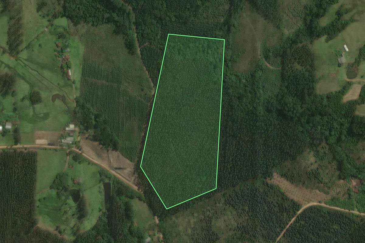 Imagem de satélite do imóvel rural em Triunfo (RS), com o contorno declarado no CAR desenhado por cima.