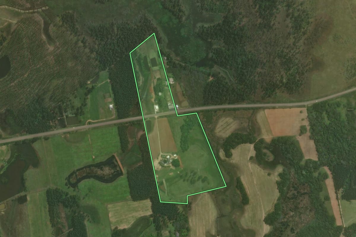 Imagem de satélite do imóvel rural em Triunfo (RS), com o contorno declarado no CAR desenhado por cima.