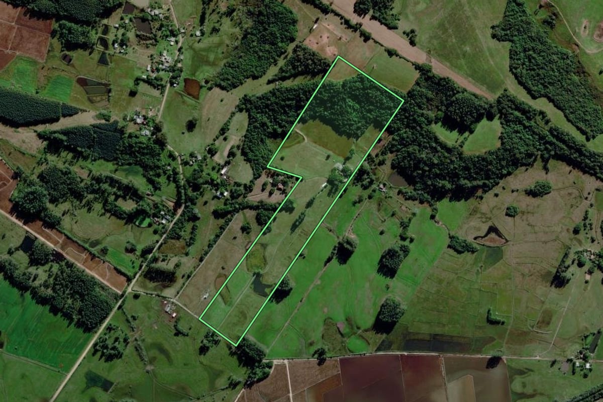Imagem de satélite do imóvel rural em Triunfo (RS), com o contorno declarado no CAR desenhado por cima.