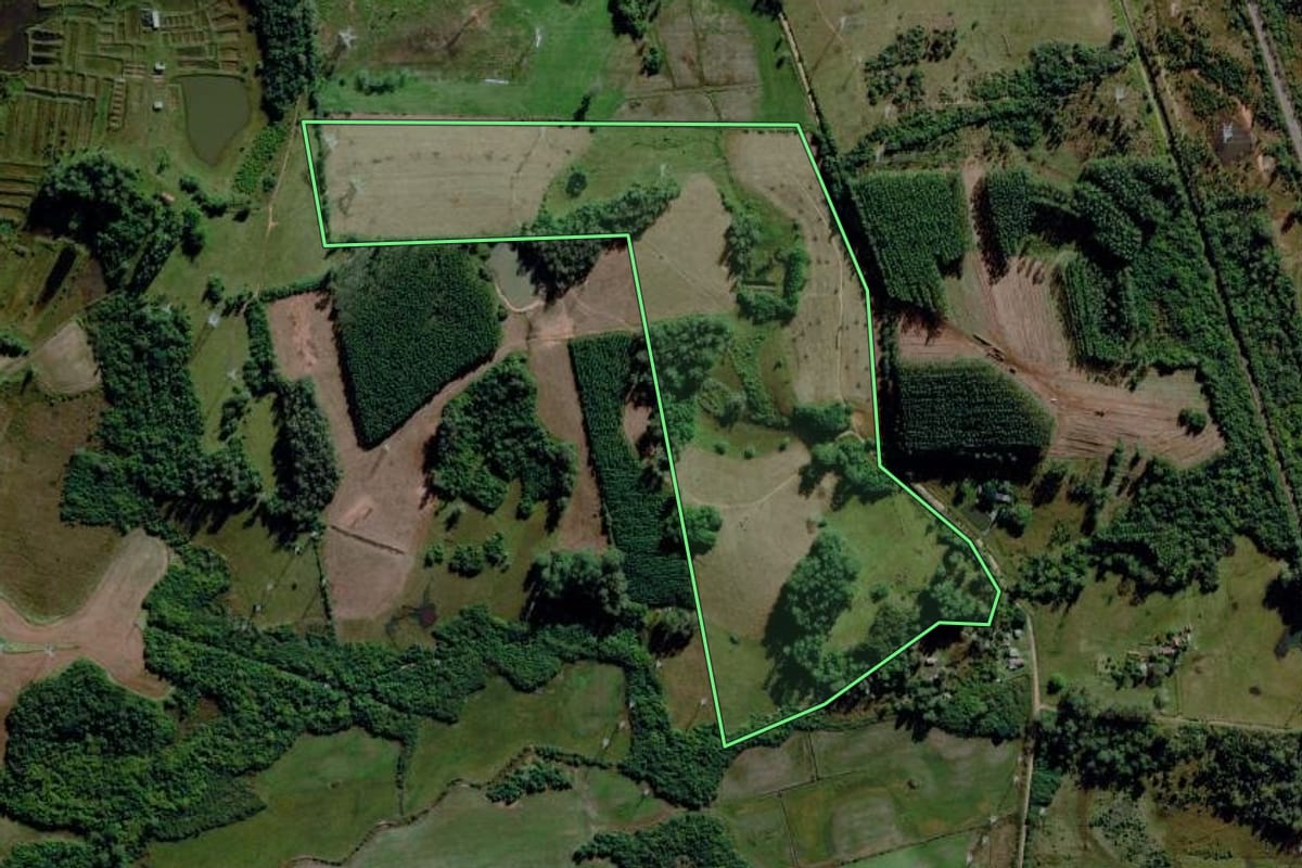 Imagem de satélite do imóvel rural em Triunfo (RS), com o contorno declarado no CAR desenhado por cima.