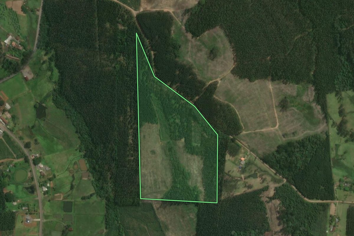 Imagem de satélite do imóvel rural em Triunfo (RS), com o contorno declarado no CAR desenhado por cima.